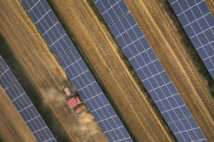 Agri PV Landwirtschaft Doppelnutzung